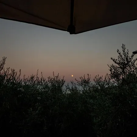 Frantoio - Nel Con Giardino E Terrazza Privata *