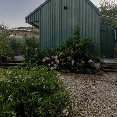 Frantoio - Nel Con Giardino E Terrazza Privata Arma di Taggia